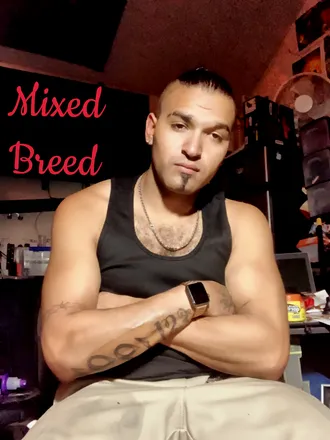 OnlyFans cuenta mixedbreed420 header 2