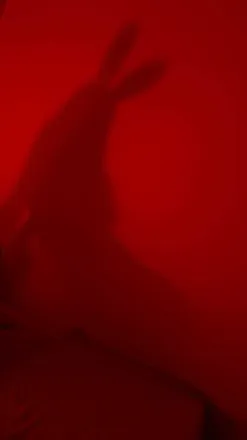 OnlyFans account  annitablow header 2