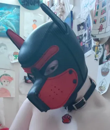 OnlyFans cuenta punk_puppy avatar 1