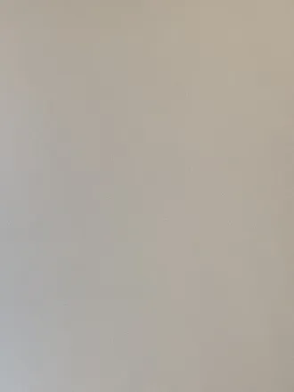 OnlyFans cuenta cannalise header 2