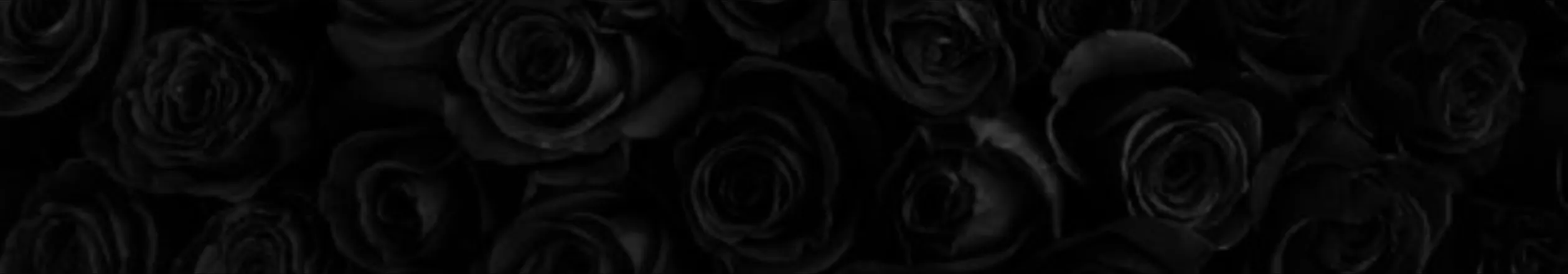 OnlyFans cuenta xxcaitastrophe header 2