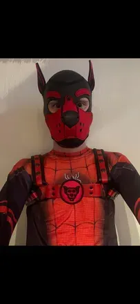 OnlyFans account  spidey-pup avatar 1