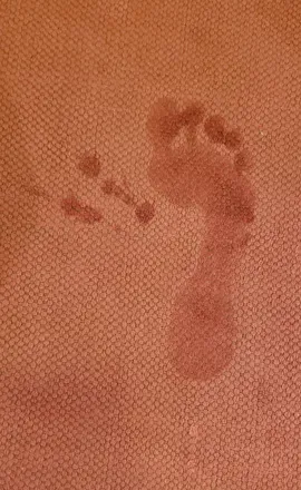 OnlyFans cuenta the.queen.of.foot.fetish avatar 1