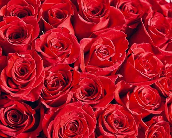 OnlyFans cuenta lucaslovee header 2