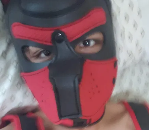 OnlyFans cuenta pupscruffles avatar 1