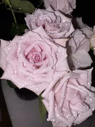 OnlyFans account  millmillie header 2