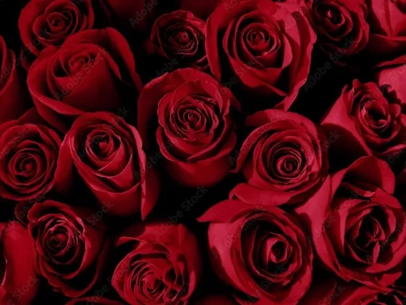OnlyFans cuenta vkajusa header 2