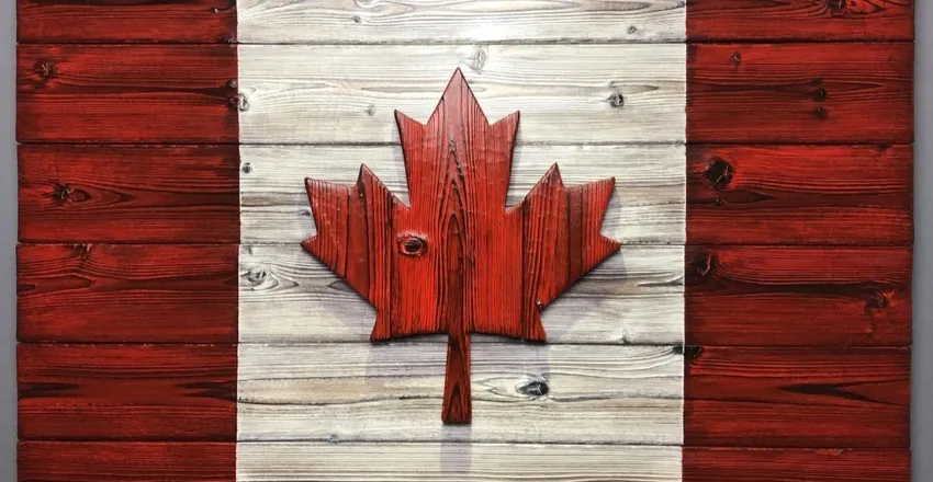 OnlyFans cuenta yourdirtycanadiangirl header 2