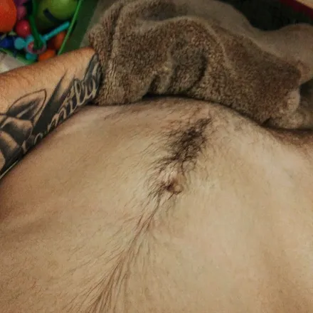 OnlyFans cuenta iamyungs1im header 2
