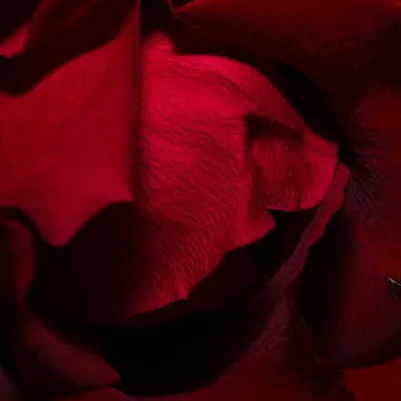 OnlyFans cuenta noturzaddy header 2