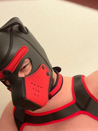 OnlyFans cuenta mepupzilla2000 avatar 1