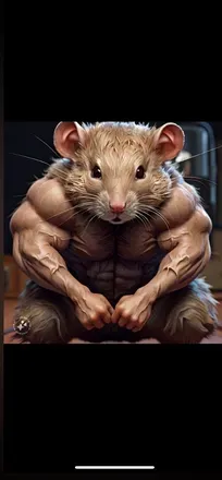 OnlyFans cuenta gym.rat8888 header 2
