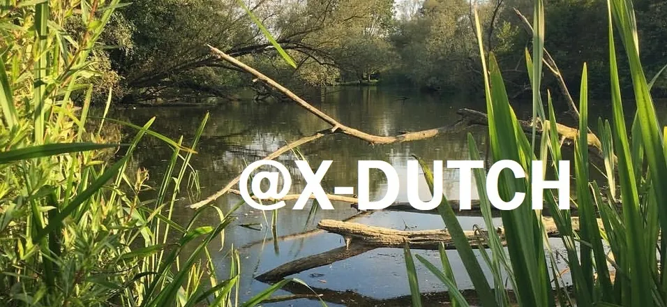 OnlyFans account  x-dutch header 2