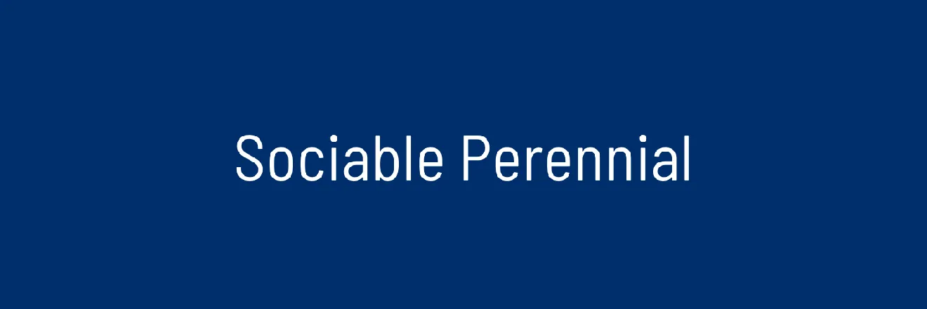 OnlyFans cuenta sociableperennial header 1