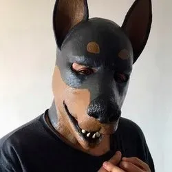 OnlyFans cuenta dogsharko avatar 1