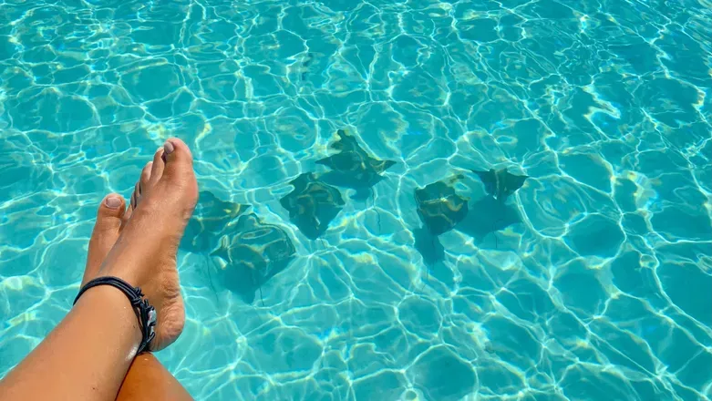 OnlyFans cuenta patassaladas header 2