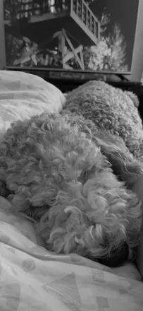 OnlyFans cuenta kateoxoxox header 2