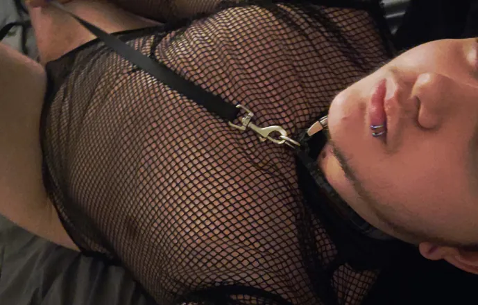 OnlyFans account  transboyem header 2