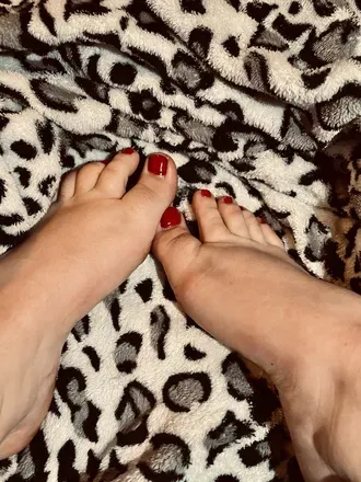 OnlyFans cuenta littlepiggies8 avatar 1