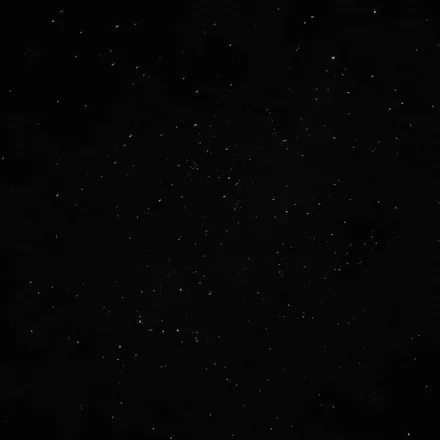 OnlyFans cuenta danthebear header 2