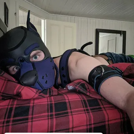 OnlyFans cuenta pupcujo avatar 1