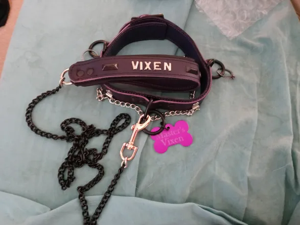 OnlyFans cuenta themaskedvixen19 header 2