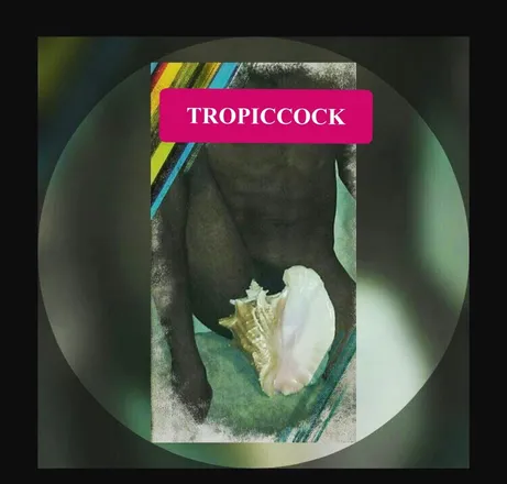 OnlyFans cuenta tropiccock305649 header 2