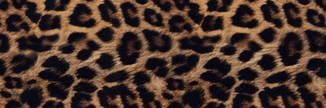 OnlyFans account  arianastiexxx header 2