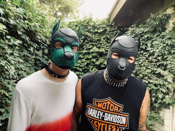 OnlyFans cuenta puppynoodz header 2