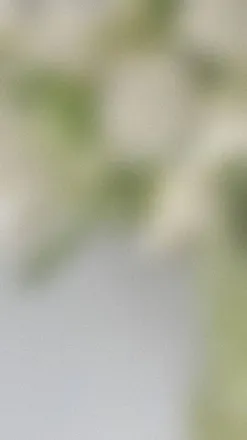 OnlyFans cuenta maiko.knx header 2