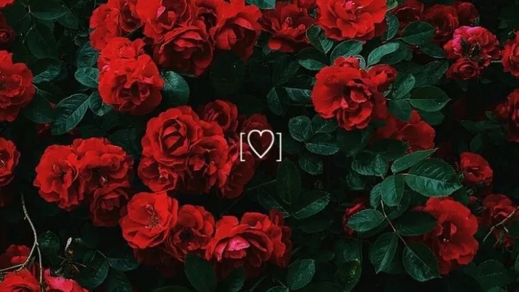 OnlyFans cuenta phantomblxdes header 2