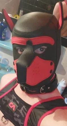 OnlyFans cuenta puppy_onyx avatar 1