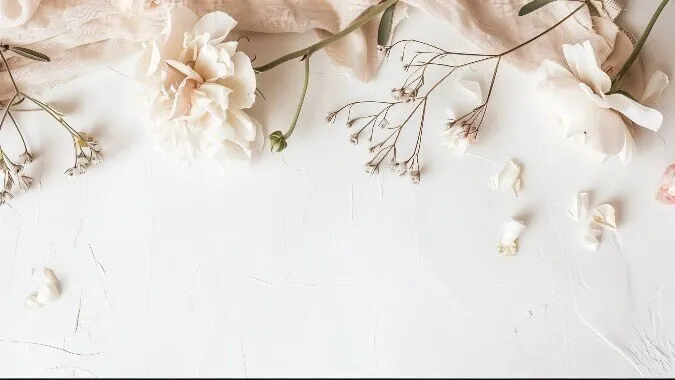 OnlyFans cuenta pastelblush header 2
