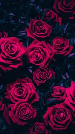 OnlyFans cuenta cosettebeauty header 2