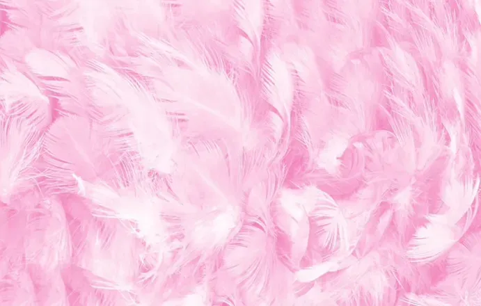 OnlyFans account  abi_bunny header 1