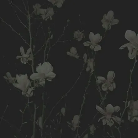 OnlyFans cuenta msftdweirdo header 2