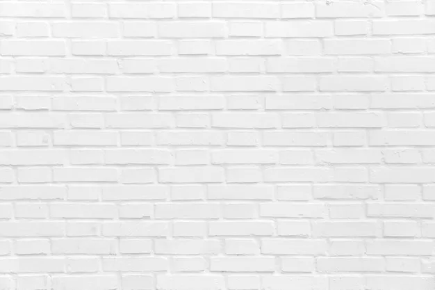 OnlyFans cuenta tiedbymike header 2