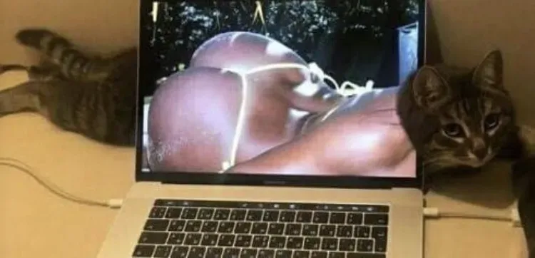 OnlyFans cuenta michik0 header 2