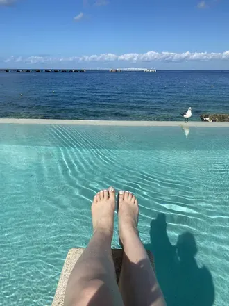 OnlyFans account  feetspeak69 avatar 1