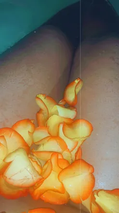 OnlyFans cuenta sexxybabe7 header 1