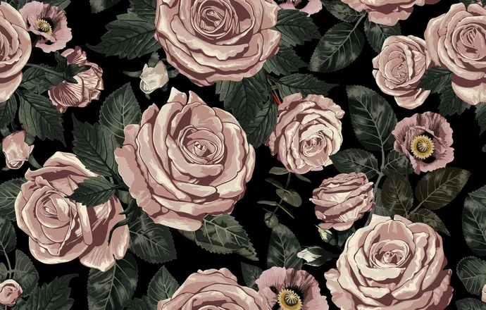OnlyFans cuenta emmawhite1122 header 2