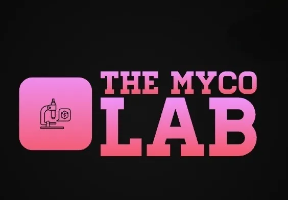 OnlyFans cuenta themycolab header 2