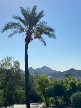 OnlyFans cuenta cockzilla98 header 2