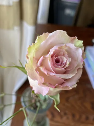 OnlyFans cuenta gingerflowerchild header 2