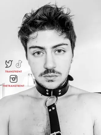 OnlyFans account  transtrentfree avatar 1