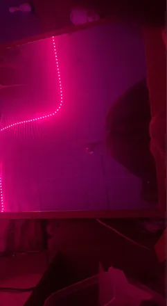OnlyFans cuenta jazzyvibez header 2