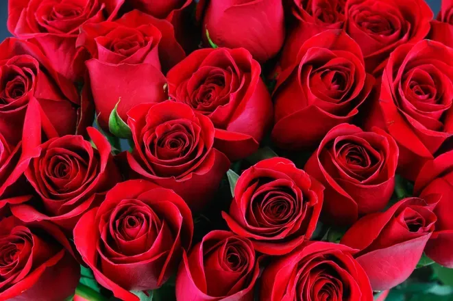 OnlyFans cuenta ssbbwmumma2020 header 2
