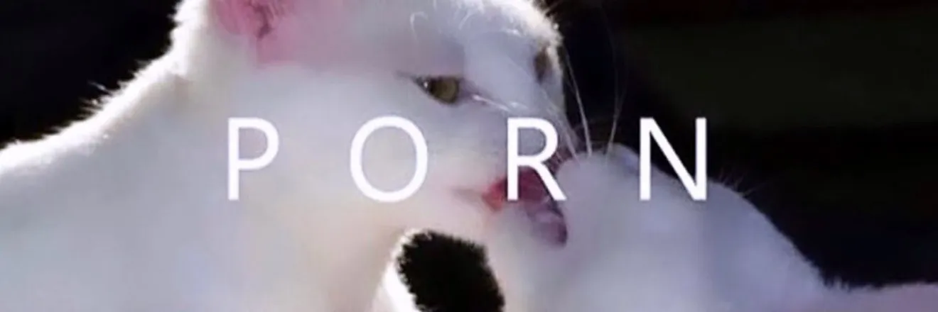 OnlyFans cuenta kitty_puurr header 2