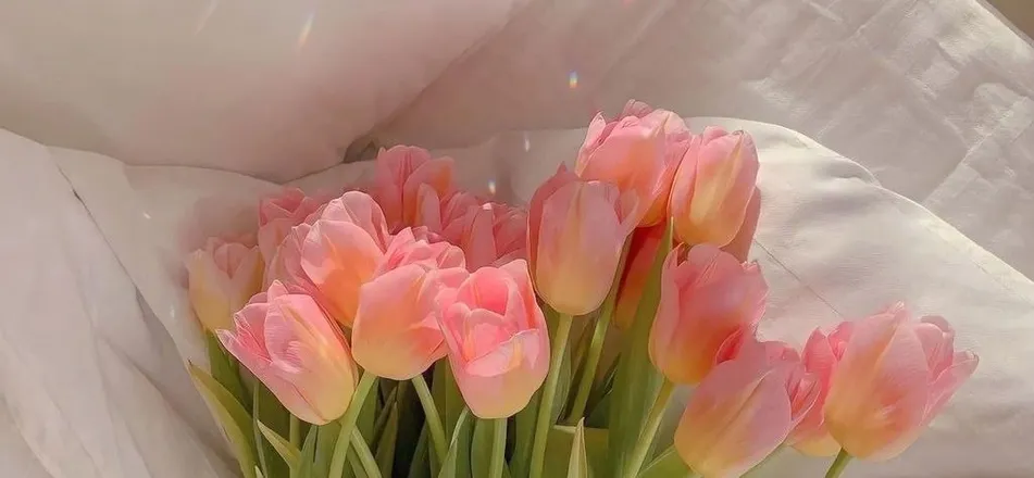 OnlyFans cuenta honey.riley header 2