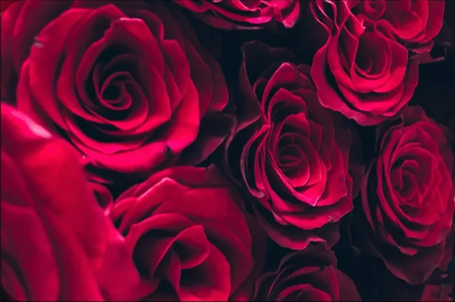 OnlyFans cuenta thecrimsonreapervip header 1